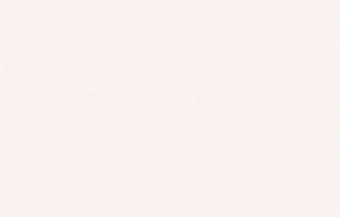 BBT401